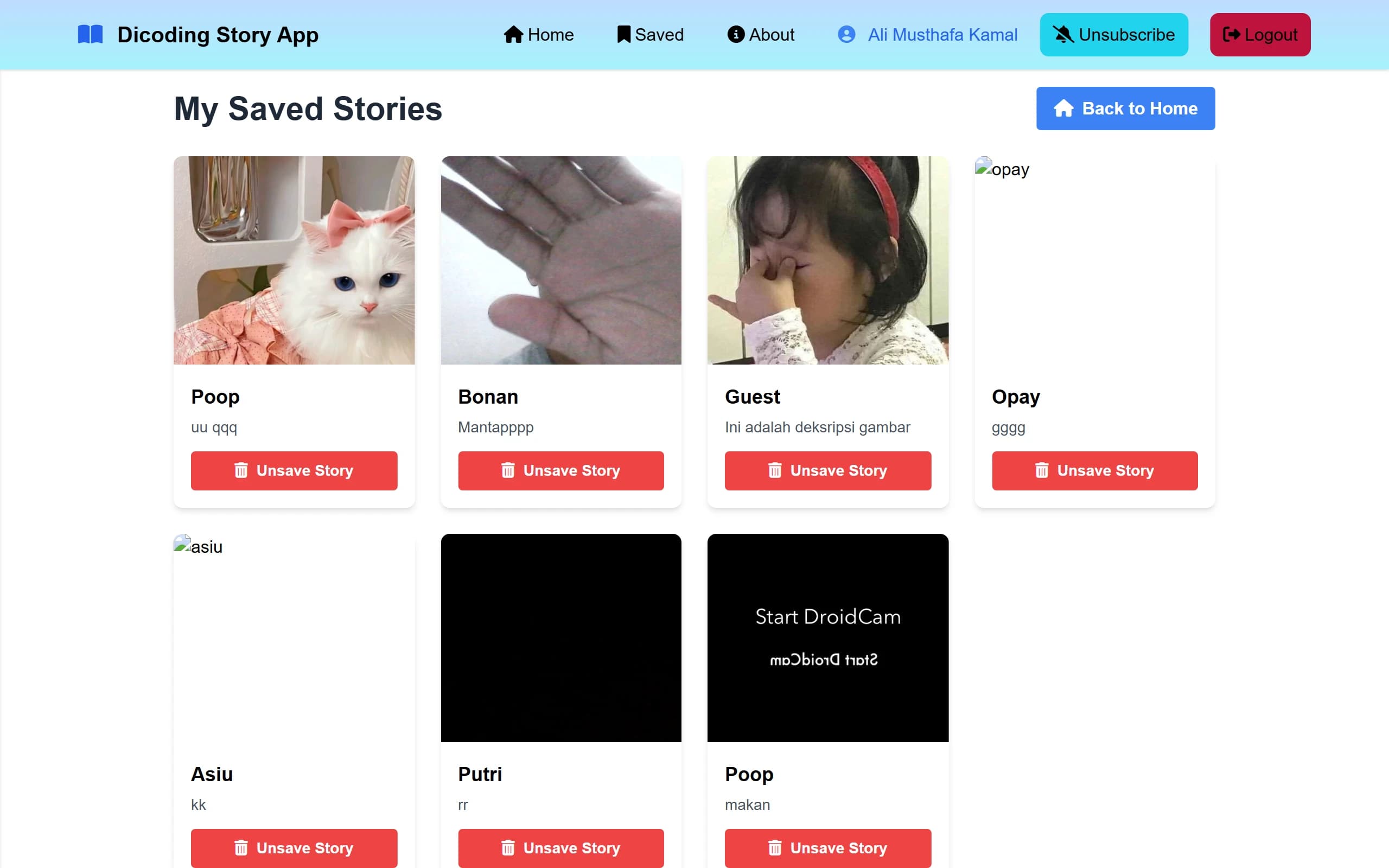 Dicoding Story App